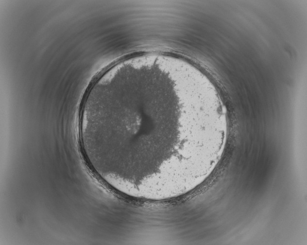 X0000110700840200907241123