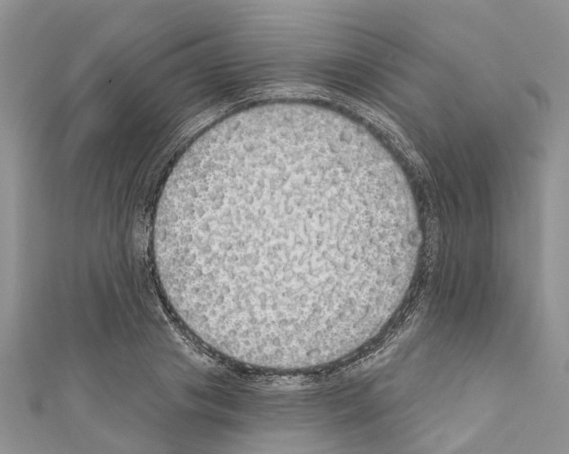 X0000110700841200907241123