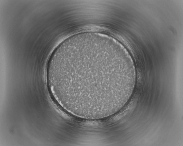 X0000110700843200907241123