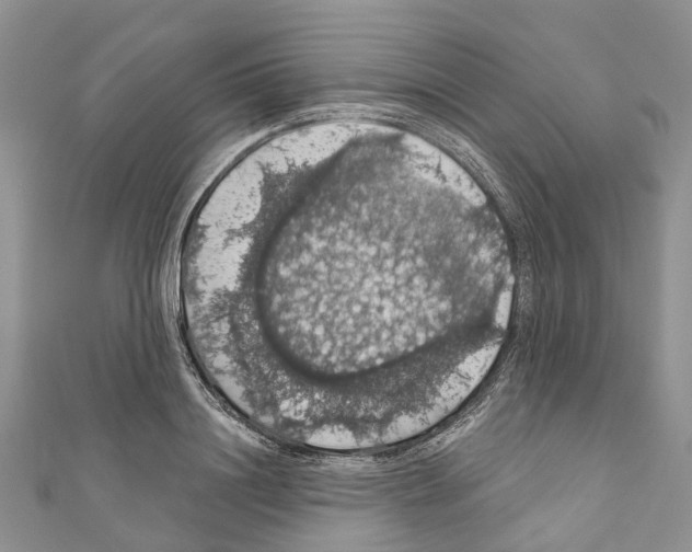 X0000110700844200907241123
