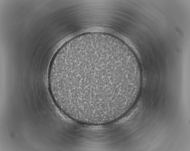 X0000110700845200907241123