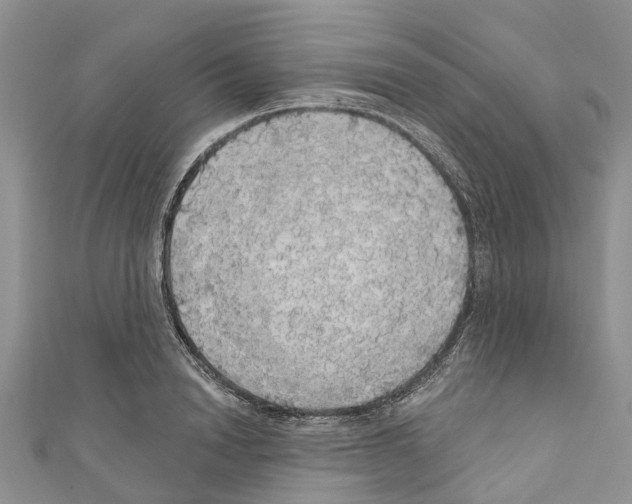 X0000110700846200907241123