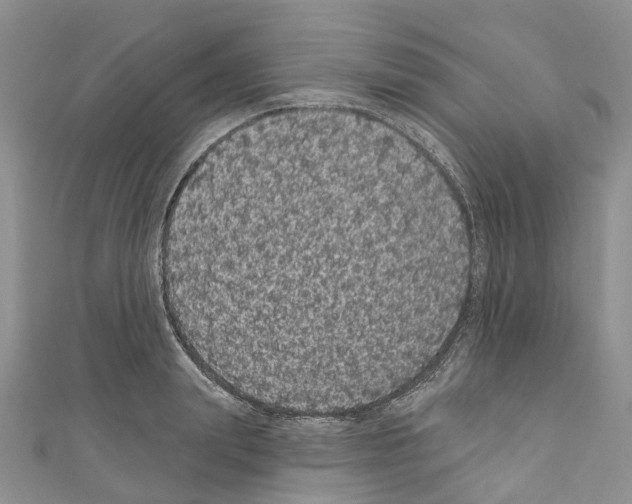 X0000110700847200907241123