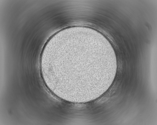 X0000110700848200907241123