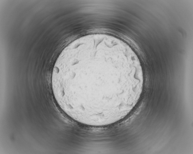X0000110700849200907241123