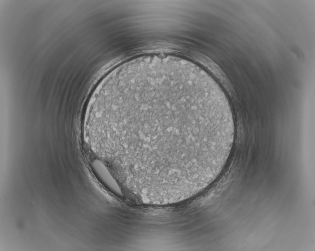 X0000110700850200907241123