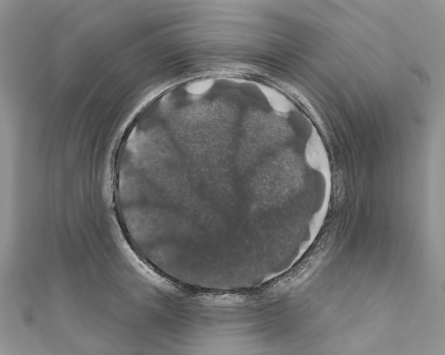 X0000110700851200907241123