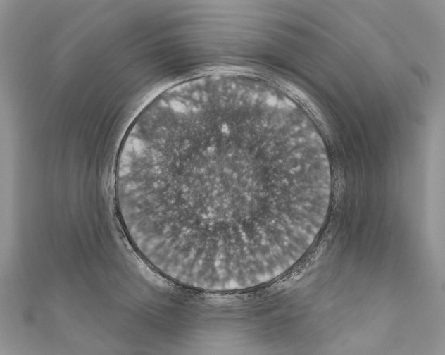 X0000110700852200907241123