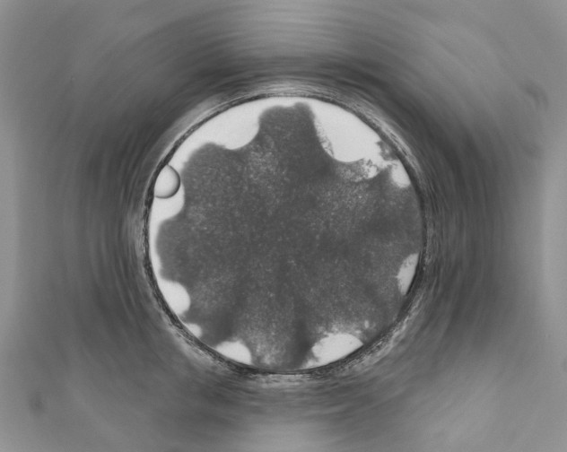 X0000110700853200907241123