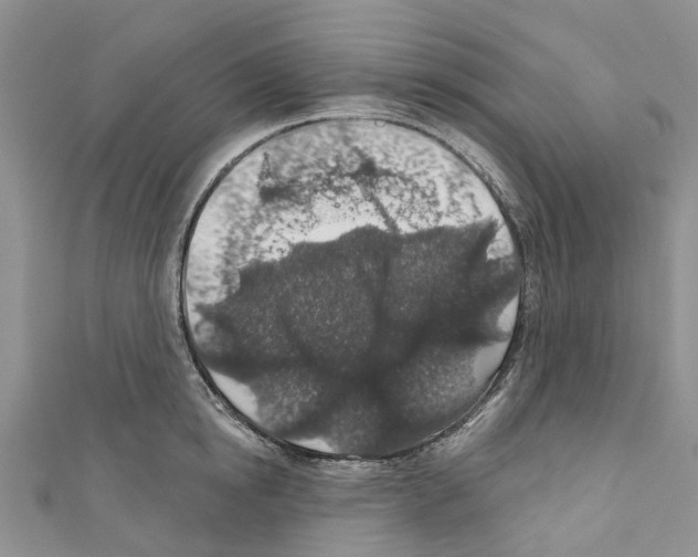 X0000110700854200907241123