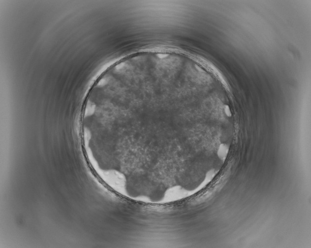 X0000110700855200907241123