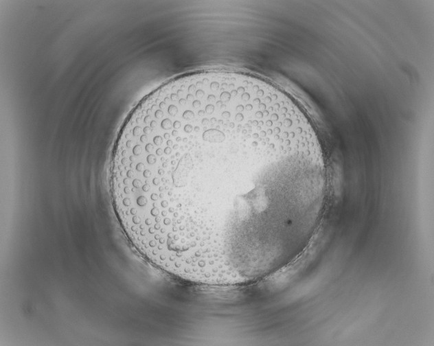 X0000110700856200907241123