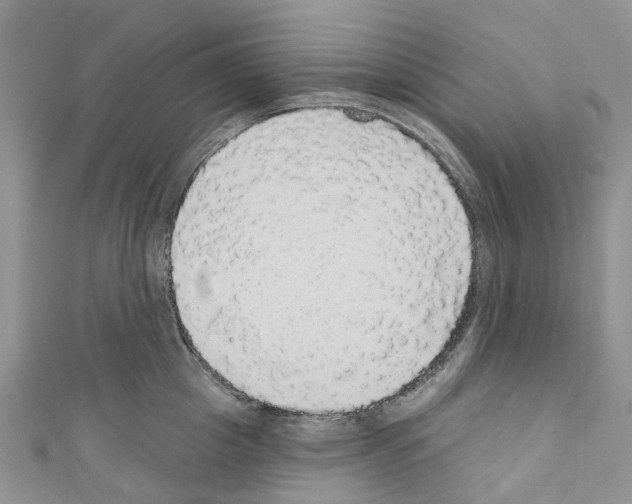 X0000110700857200907241123