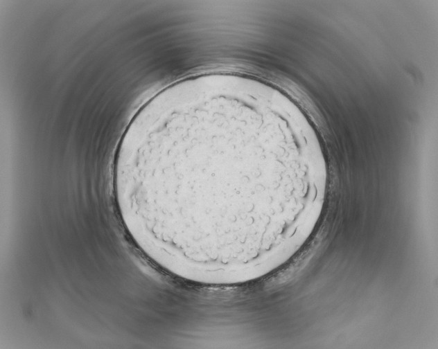 X0000110700858200907241123