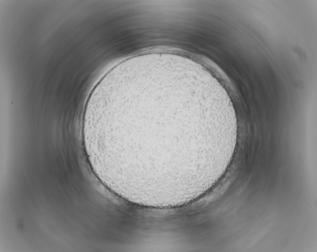 X0000110700860200907241123