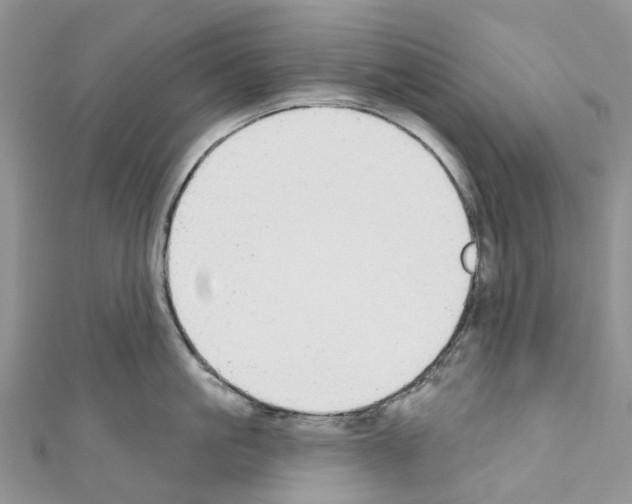 X0000110700861200907241123