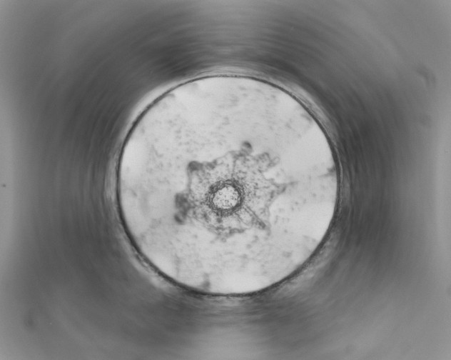 X0000110700862200907241123