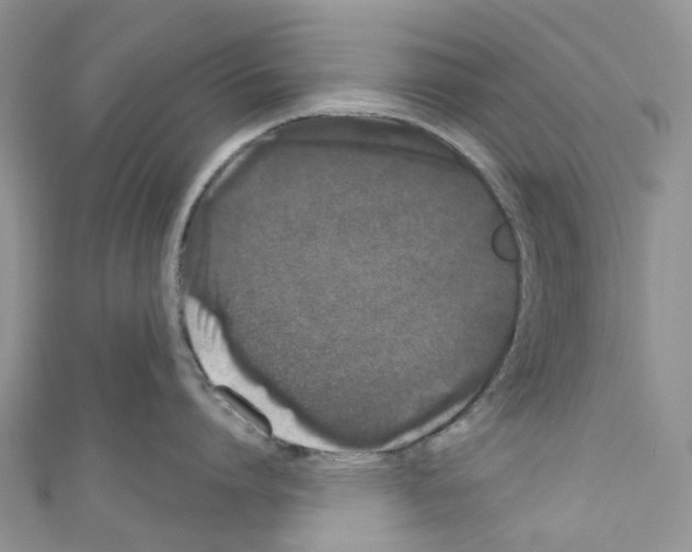X0000110700864200907241123