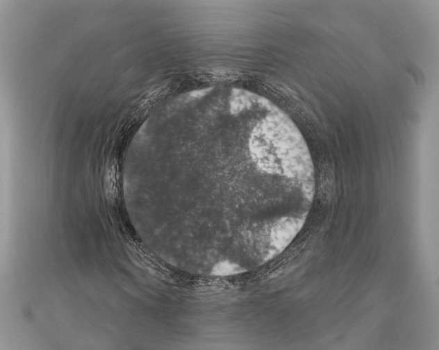 X0000110700866200907241123
