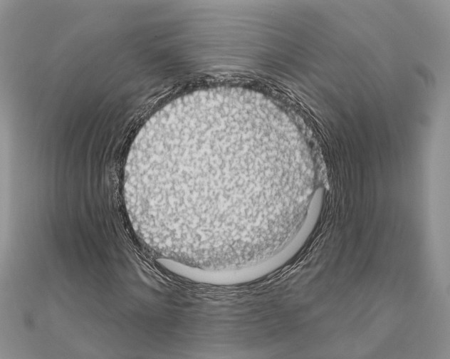 X0000110700868200907241123