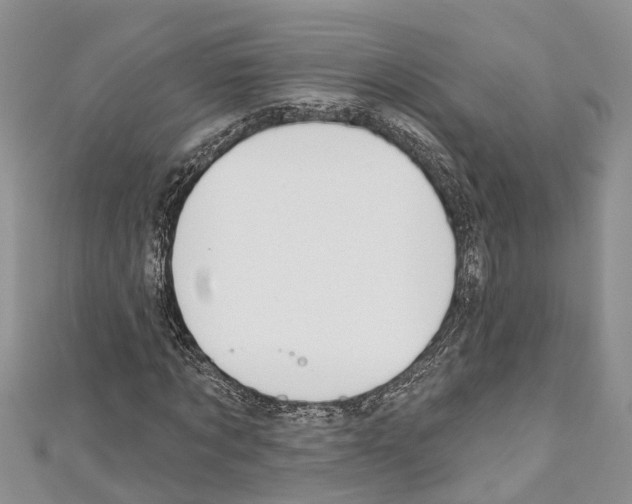 X0000110700869200907241123