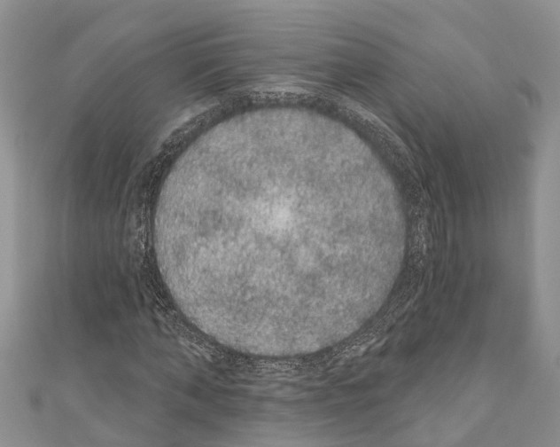 X0000110700870200907241123
