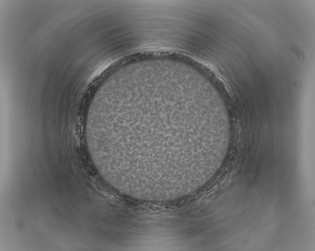 X0000110700871200907241123