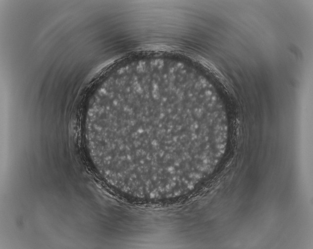 X0000110700872200907241123