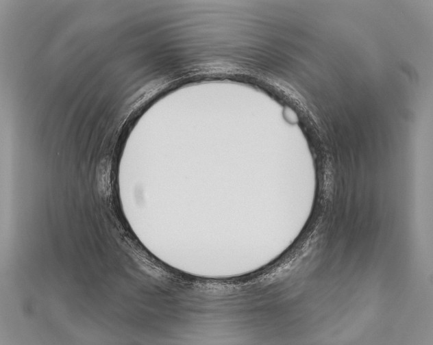 X0000110700873200907241123