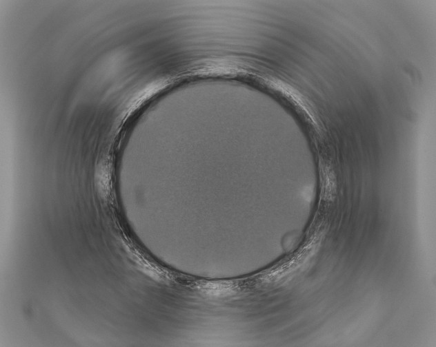 X0000110700874200907241123
