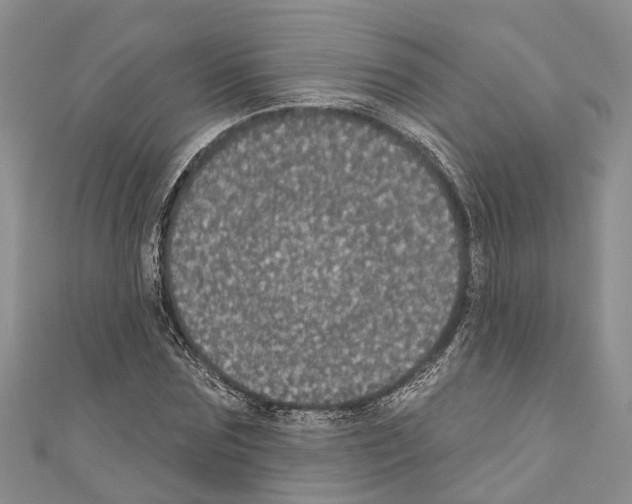 X0000110700875200907241123
