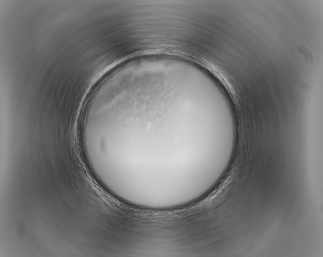 X0000110700876200907241123