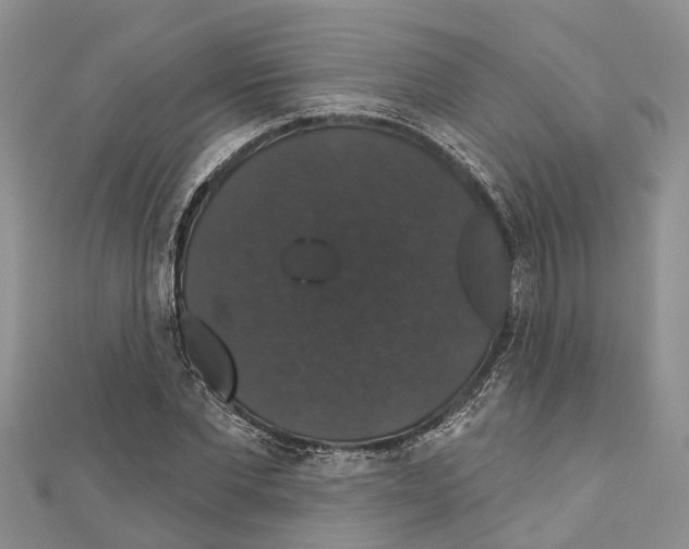 X0000110700877200907241123