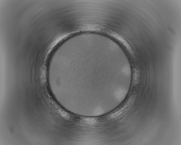 X0000110700878200907241123