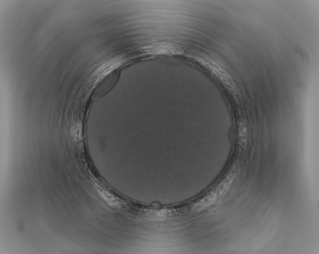 X0000110700881200907241123