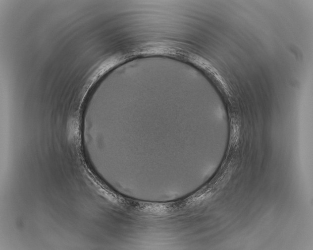 X0000110700882200907241123
