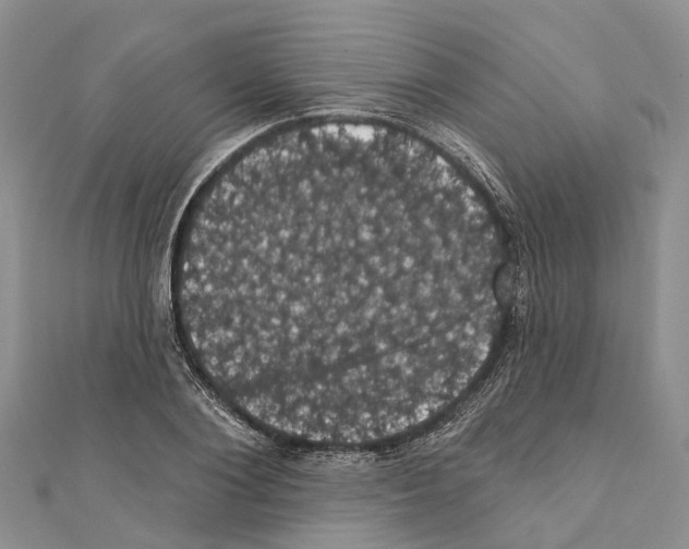 X0000110700884200907241123