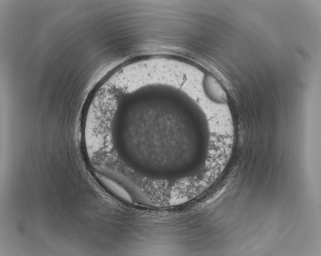 X0000110700885200907241123