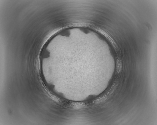 X0000110700886200907241122