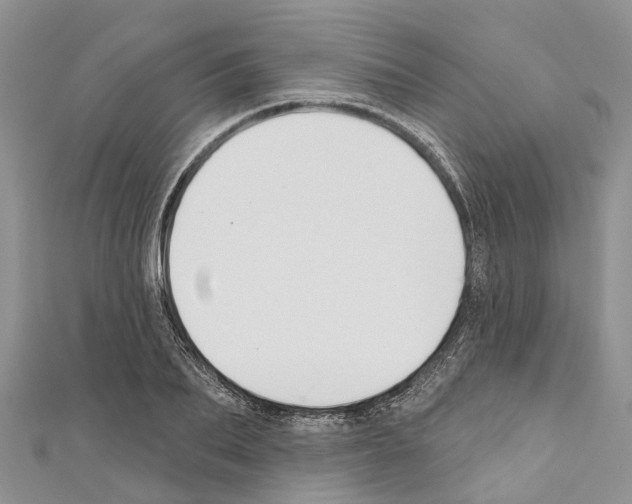 X0000110700887200907241122