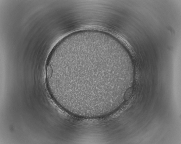 X0000110700888200907241122