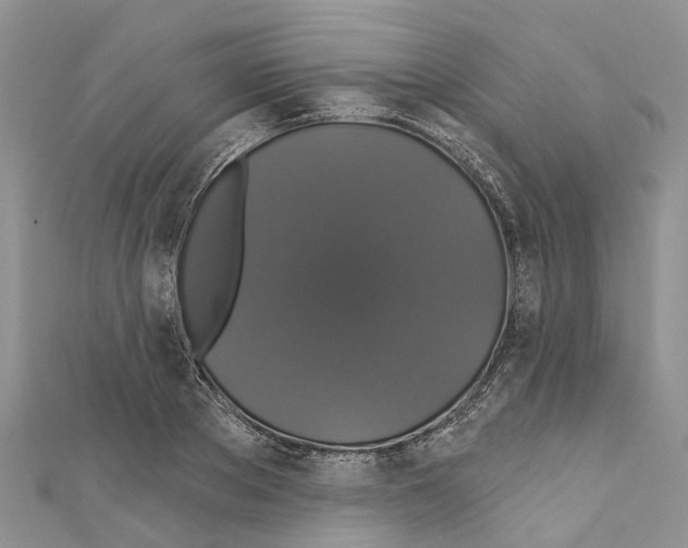X0000110700889200907241122