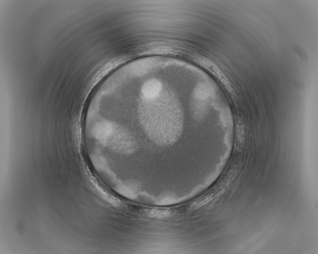 X0000110700890200907241122