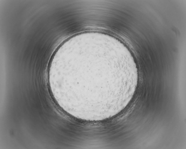 X0000110700891200907241122