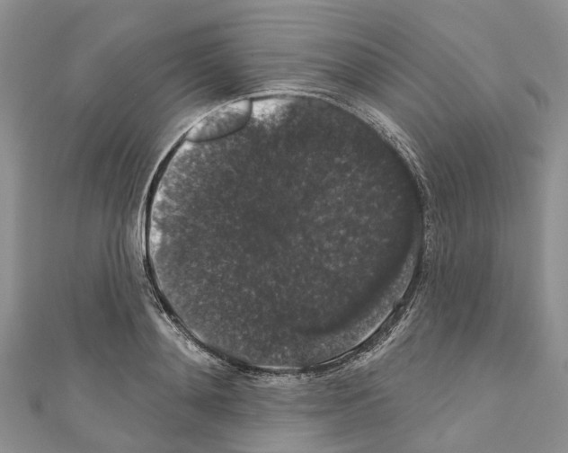 X0000110700892200907241122