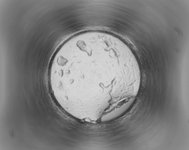 X0000110700895200907241122