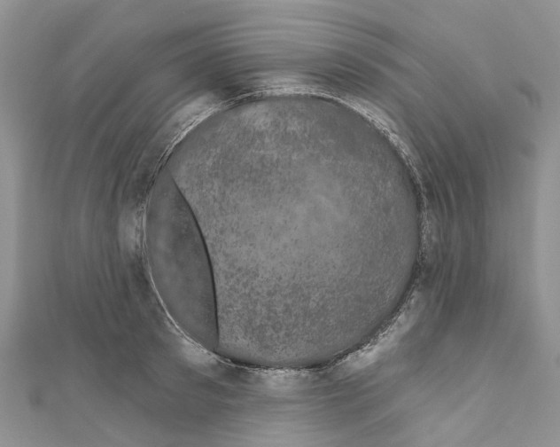 X0000110700897200907241122