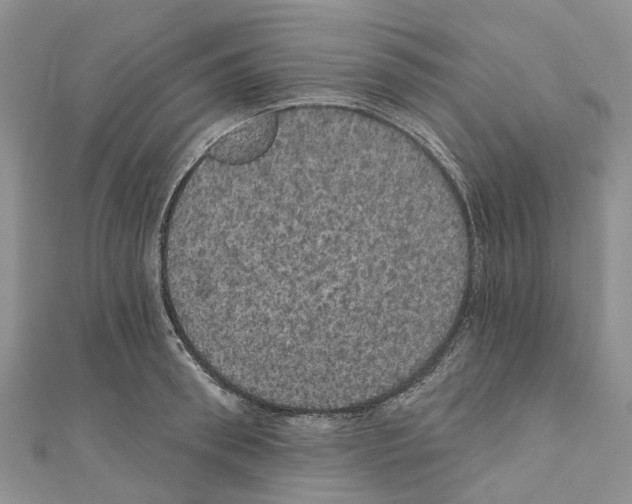 X0000110700898200907241122