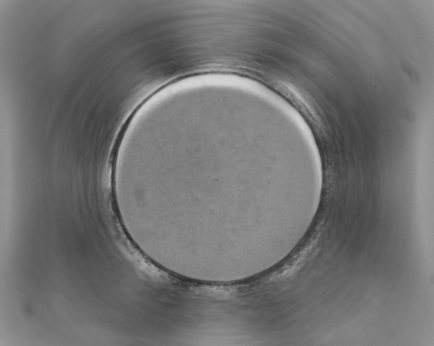 X0000110700900200907241122