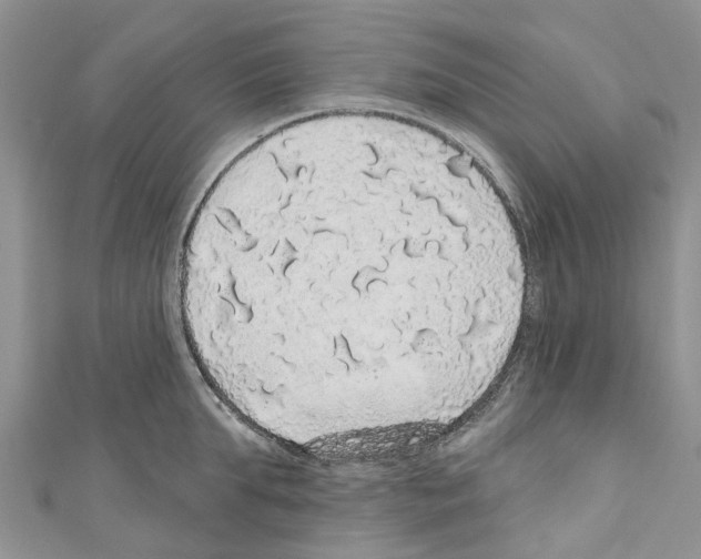 X0000110700903200907241122